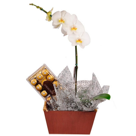 orquidea-branca-para-presente-bombons