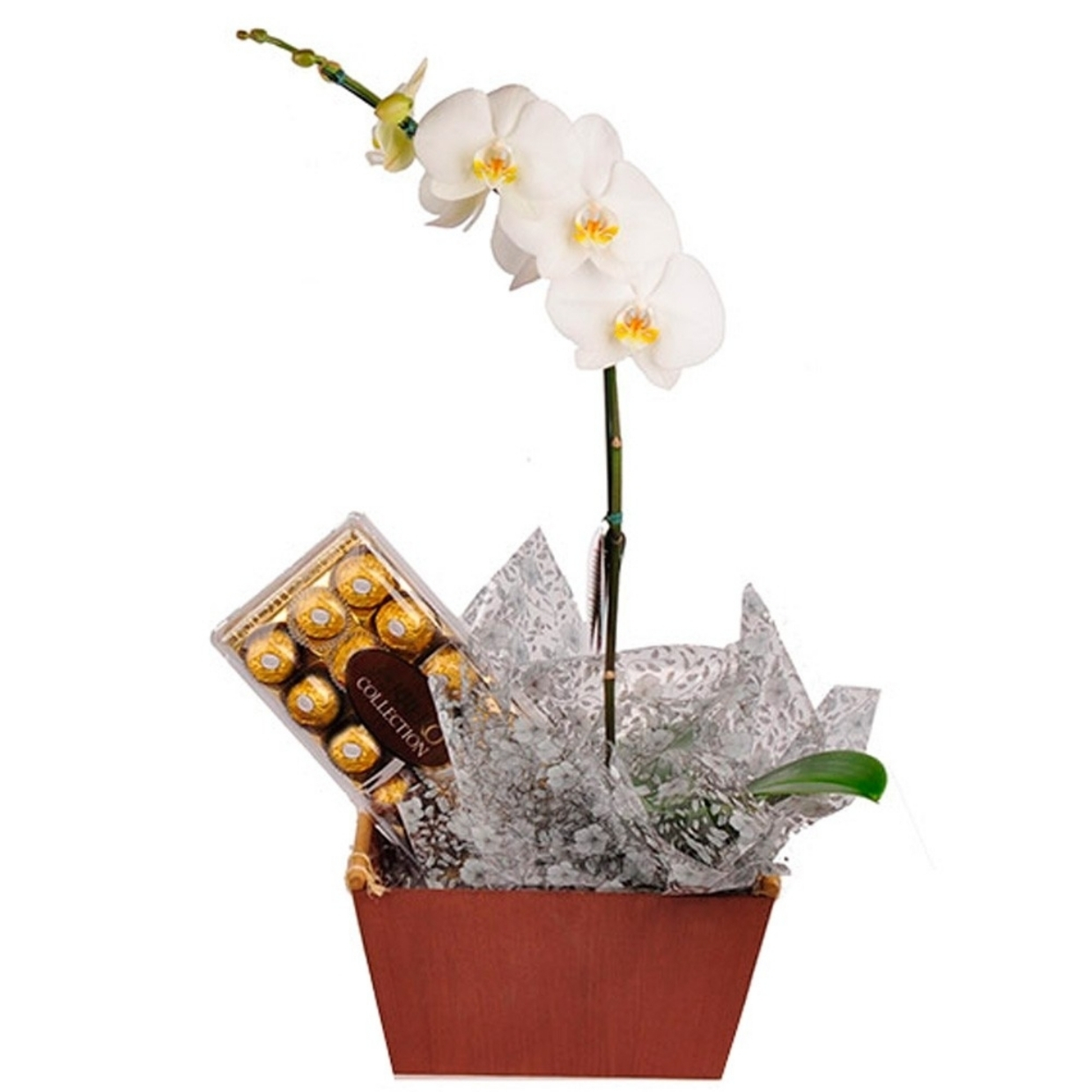 Orquídea Branca Para Presente Com Bombons – Doce Magia Flores