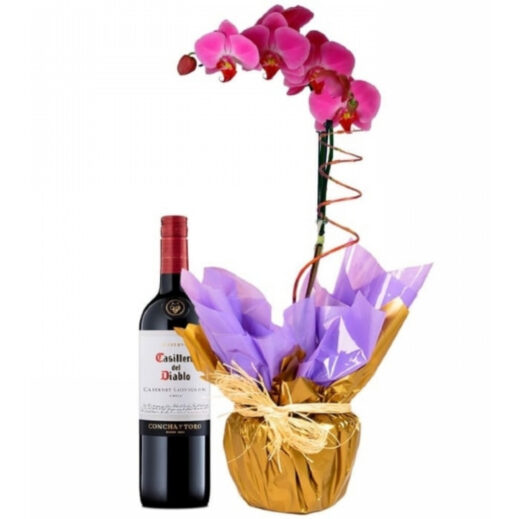 orquideaphalaenopsis-lilascom-vinho-tinto