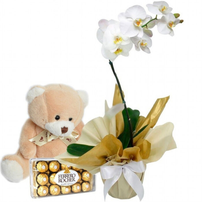 orquideaphalaenopsisbranca-com-pelucia-e-chocolates